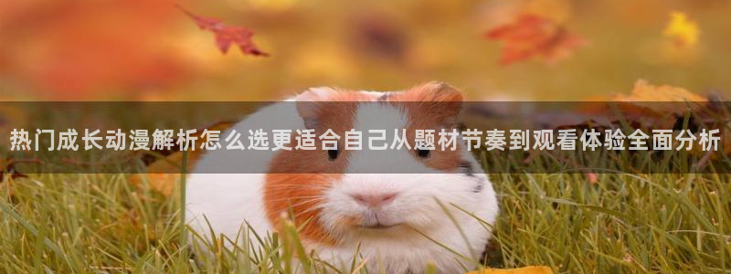 记得香蕉成熟时 插曲：热门成长动漫解析怎么选更适合自己从题材节奏到观看体验全面分析配图