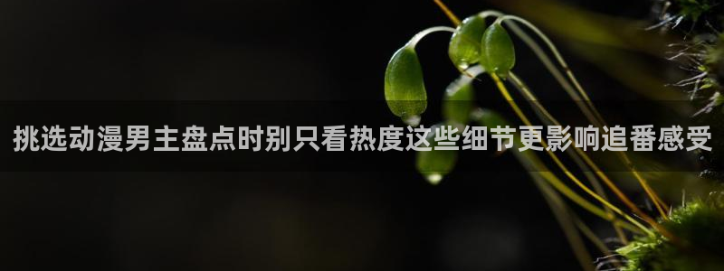 香蕉成熟时在:挑选动漫男主盘点时别只看热度这些细节更影响追番感受配图
