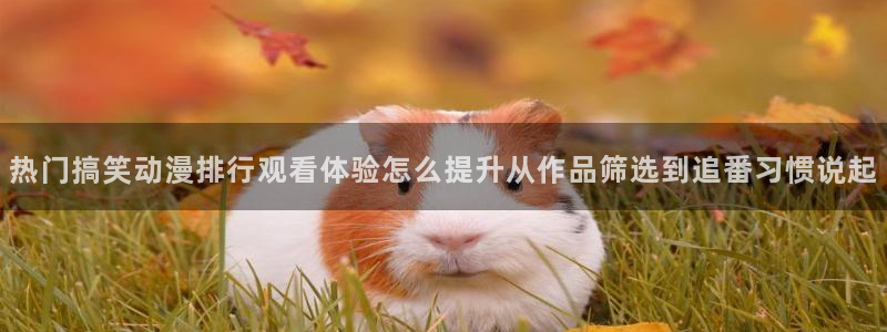 记得香蕉成熟时3:热门搞笑动漫排行观看体验怎么提升从作品筛选到追番习惯说起配图